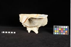 Foto (Seitenansicht) von Salatschüssel mit Besteck  (NHMW-ZOO-MO-0081100-ETH-106)
